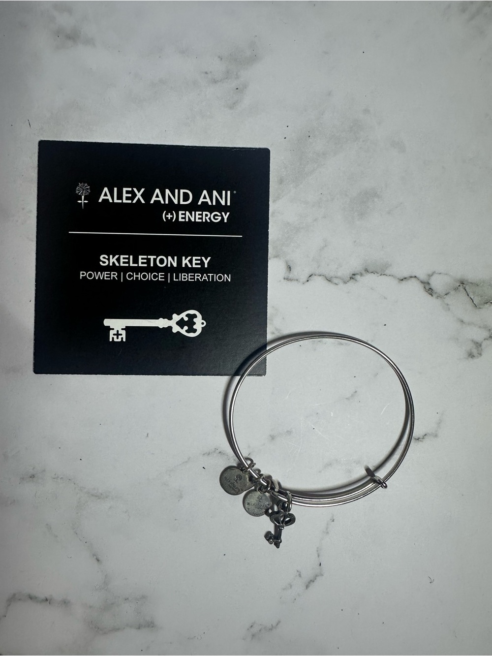 Alex and Ani Silver Tone Skeleton Key Charm Bangle Bracelet